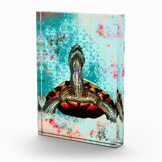 Abstraktes Schildkrötenwerk Fotoblock (Rechts)