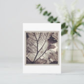 Abstraktes Schwarz-Weiß-Blatt Postkarte (Stehend Vorderseite)