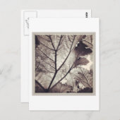 Abstraktes Schwarz-Weiß-Blatt Postkarte (Vorne/Hinten)