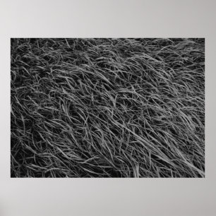 Abstraktes Schwarzweiß-Bild Poster