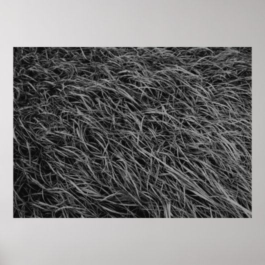 Abstraktes Schwarzweiß-Bild Poster (Vorne)