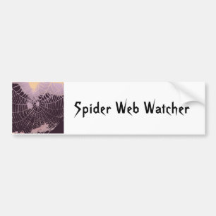 Abstraktes Spider Web Autoaufkleber