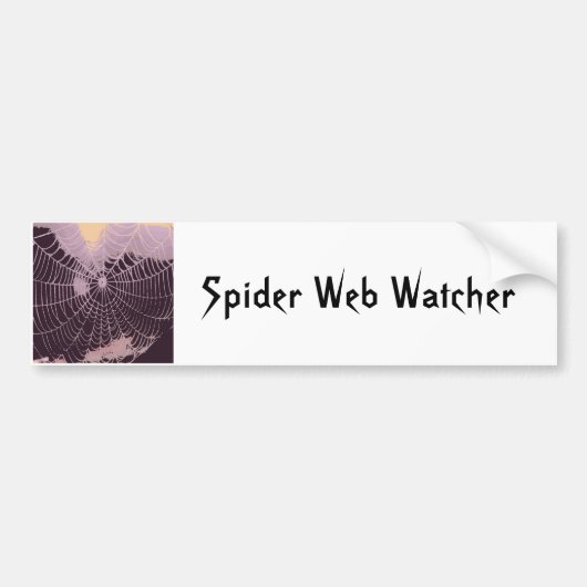 Abstraktes Spider Web Autoaufkleber (Vorne)