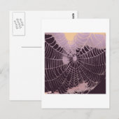Abstraktes Spider Web Postkarte (Vorne/Hinten)