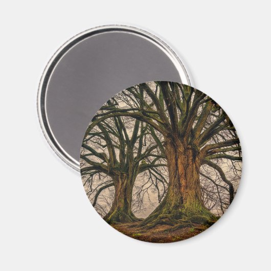 Abstraktes Winterbaummuster Magnet (Vorderseite/Rückseite)