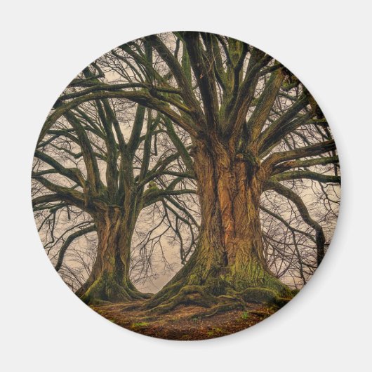 Abstraktes Winterbaummuster Magnet (Vorne)