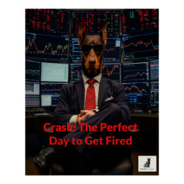 Absturz: Der perfekte Tag, um entdeckt zu werden Poster