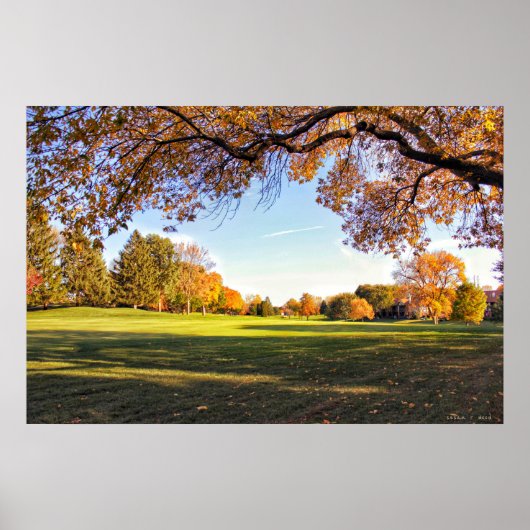 Absturz in Liebe mit Iowa Poster (Vorne)