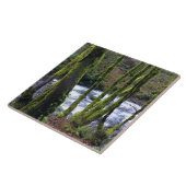 Absturz von Bridal Veil Falls, OR Fliese (Seite)