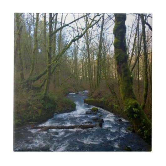 Absturz von Bridal Veil Falls, OR Fliese (Vorderseite)
