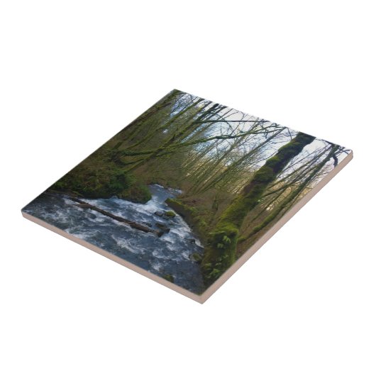 Absturz von Bridal Veil Falls, OR Fliese (Seite)