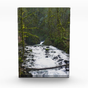 Absturz von Bridal Veil Falls, OR Fotoblock