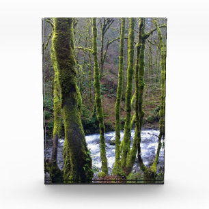 Absturz von Bridal Veil Falls, OR Fotoblock