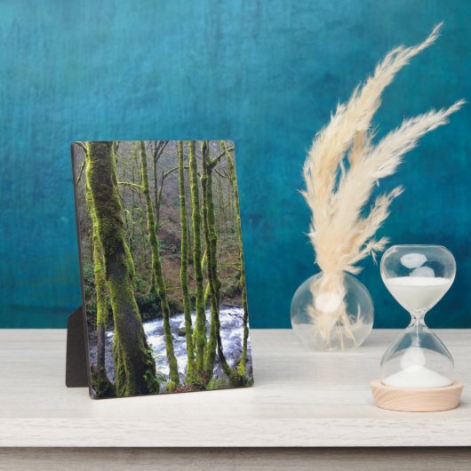 Absturz von Bridal Veil Falls, OR Fotoplatte (Seite)