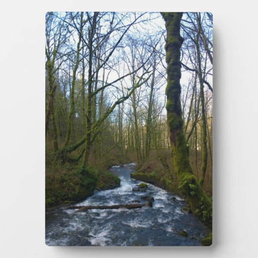 Absturz von Bridal Veil Falls, OR Fotoplatte (Vorderseite)