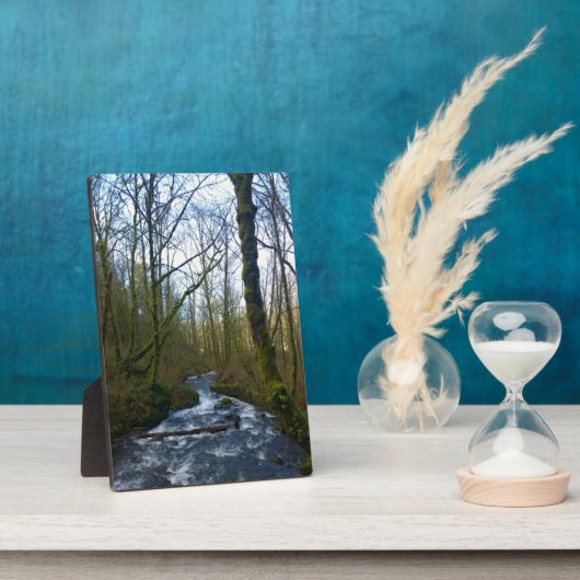 Absturz von Bridal Veil Falls, OR Fotoplatte (Seite)