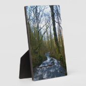 Absturz von Bridal Veil Falls, OR Fotoplatte (Seite)