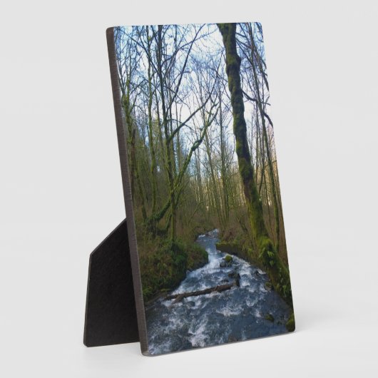 Absturz von Bridal Veil Falls, OR Fotoplatte (Seite)