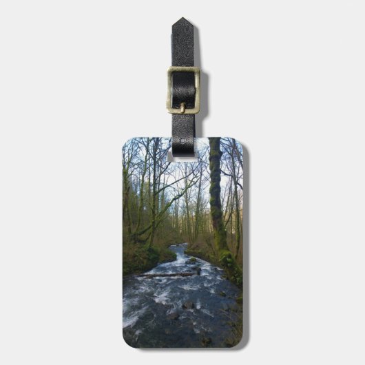 Absturz von Bridal Veil Falls, OR Gepäckanhänger (Vorderseite vertikal)