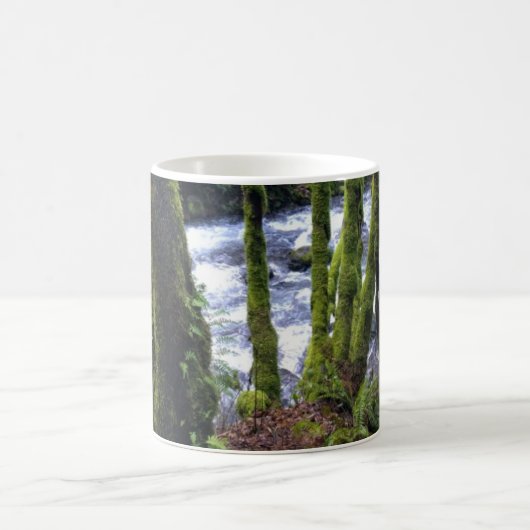 Absturz von Bridal Veil Falls, OR Kaffeetasse (Mittel)