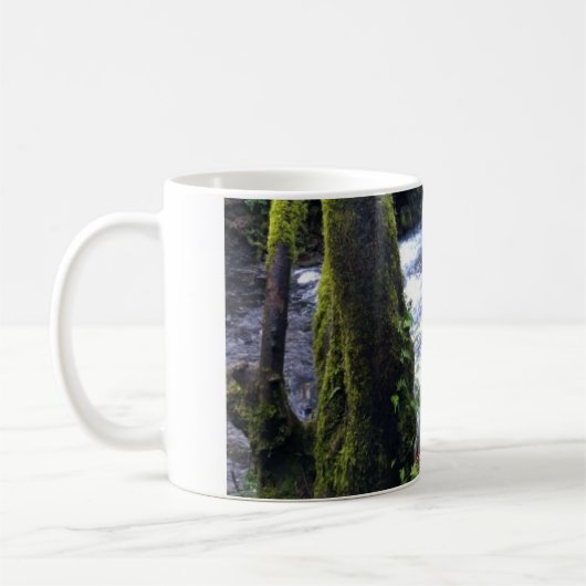 Absturz von Bridal Veil Falls, OR Kaffeetasse (Links)