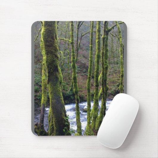 Absturz von Bridal Veil Falls, OR Mousepad (Mit Mouse)