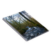 Absturz von Bridal Veil Falls, OR Notizblock (Rechte Seite)