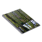 Absturz von Bridal Veil Falls, OR Notizblock (Rechte Seite)