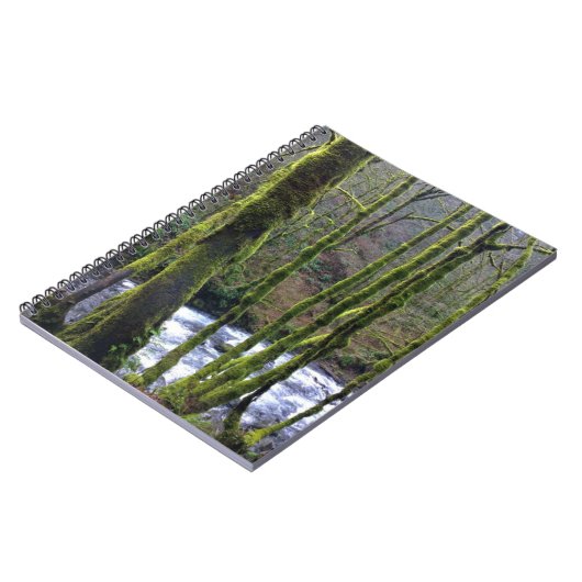 Absturz von Bridal Veil Falls, OR Notizblock (Linke Seite)