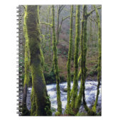 Absturz von Bridal Veil Falls, OR Notizblock (Vorderseite)