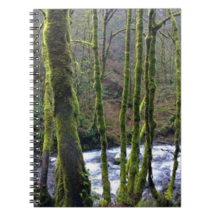 Absturz von Bridal Veil Falls, OR Notizblock