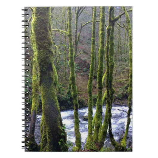 Absturz von Bridal Veil Falls, OR Notizblock (Vorderseite)