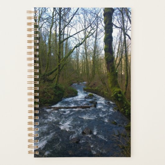 Absturz von Bridal Veil Falls, OR Planer (Vorderseite)