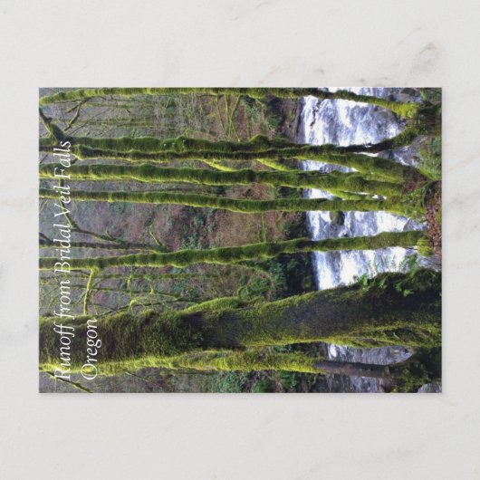 Absturz von Bridal Veil Falls, OR Postkarte (Vorderseite)