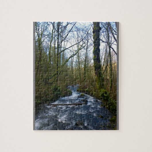 Absturz von Bridal Veil Falls, OR Puzzle (Vertikal)