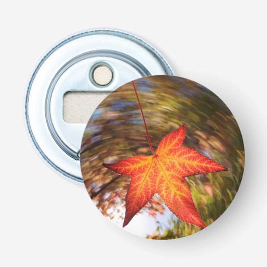 Absturz von einem Baum im Herbst Flaschenöffner (Vorderseite)