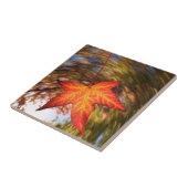 Absturz von einem Baum im Herbst Fliese (Seite)