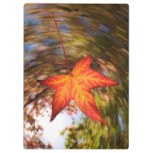 Absturz von einem Baum im Herbst Klemmbrett (Rückseite)