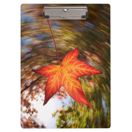 Absturz von einem Baum im Herbst Klemmbrett (Vorderseite)