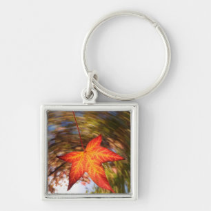 Absturz von einem Baum im Herbst Schlüsselanhänger