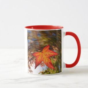 Absturz von einem Baum im Herbst Tasse
