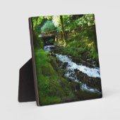 Absturz von Wahkeena Falls, OR Fotoplatte (Vorderseite)