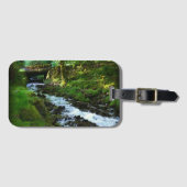 Absturz von Wahkeena Falls, OR Gepäckanhänger (Vorderseite (Horizontal))