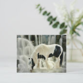 Abstürze, Pferd, Fluss, schöne Aussicht Postkarte (Stehend Vorderseite)