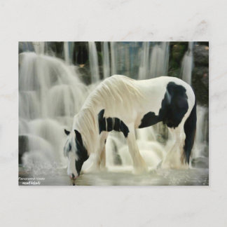 Abstürze, Pferd, Fluss, schöne Aussicht Postkarte
