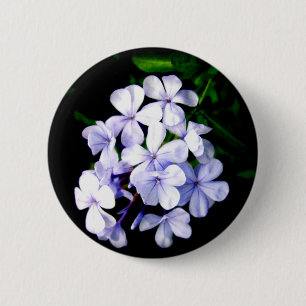 abstürzen button