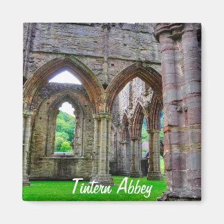 Abtei Tintern, Zisterzienserkloster, Wales Magnet