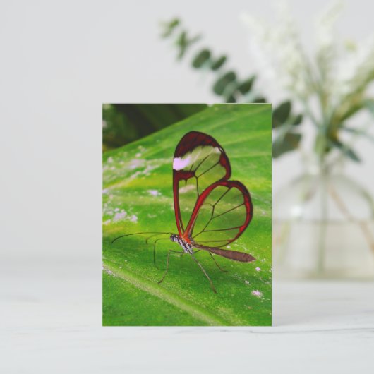 Abtrennung Postkarte (Stehend Vorderseite)