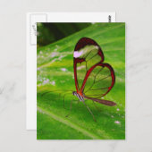 Abtrennung Postkarte (Vorne/Hinten)