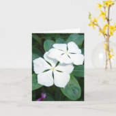 Abtropfen auf weiß karte (Gelbe Blume)